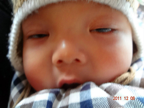 Photo 39