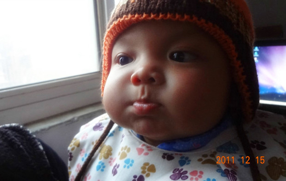Photo 42