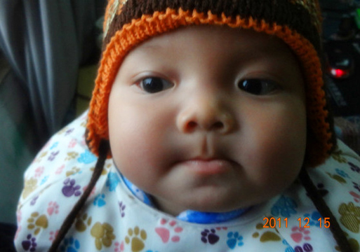 Photo 43