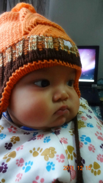 Photo 45